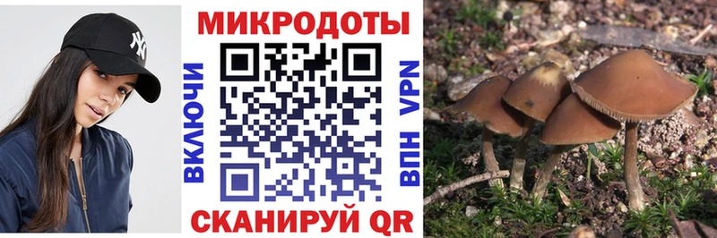 Псилоцибиновые грибы мицелий  Купить закладки  Кадников 